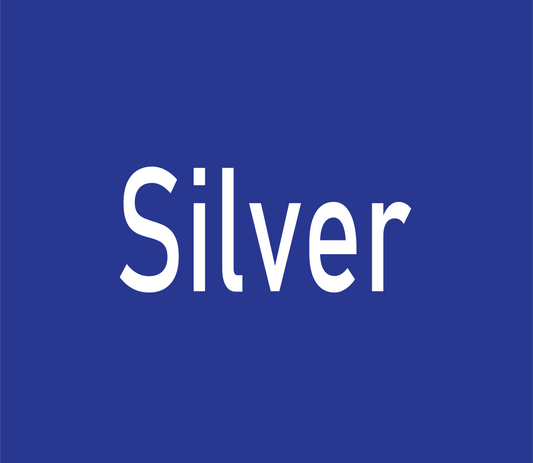 Silver Sponsor